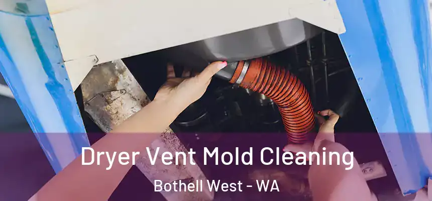  Dryer Vent Mold Cleaning Bothell West - WA