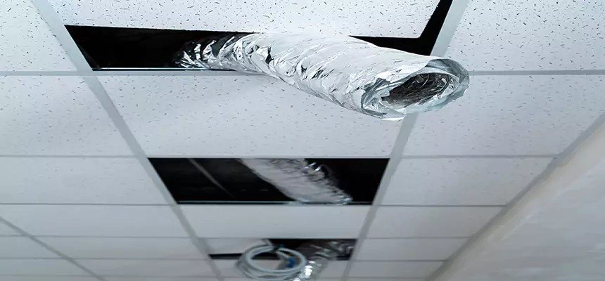 Affordable HVAC Sanitizing After Pest Removal in Bothell West