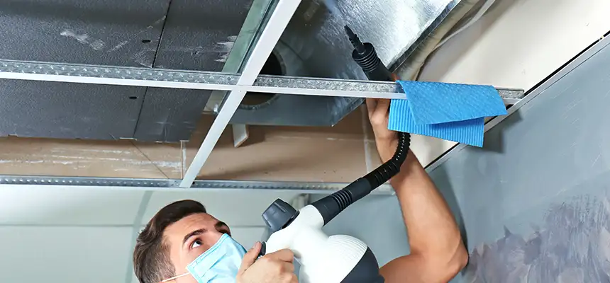 Our Air Duct Rodent Removal Services in Bothell West, WA