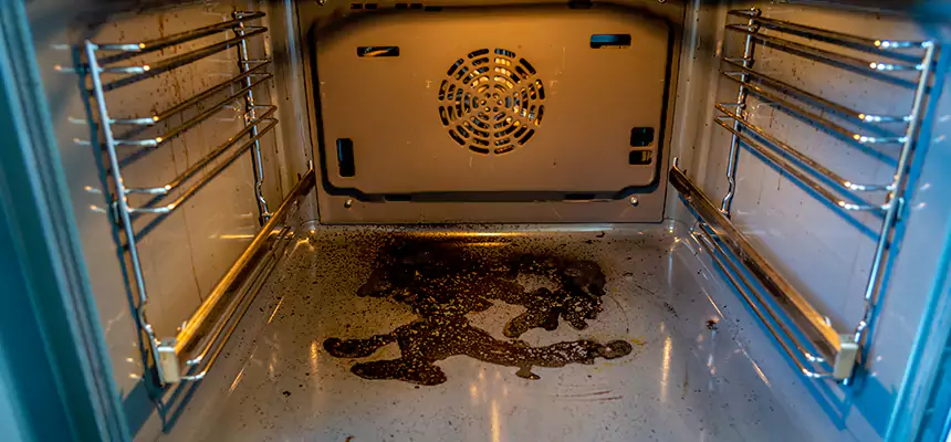 Our Dryer Vent Mold Cleaning Services in Bothell West, WA