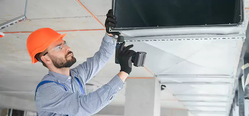 Roof Cap & Exterior Hood Lint Buildup Removal – Bothell West