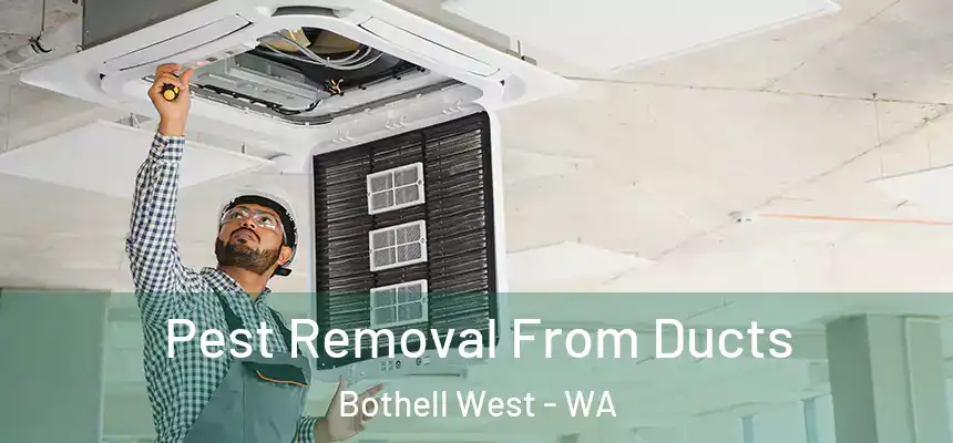 Pest Removal From Ducts Bothell West - WA