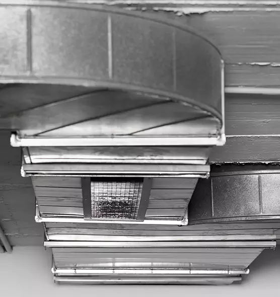 Professional Air Duct Pet Hair Removal in Bothell West, WA