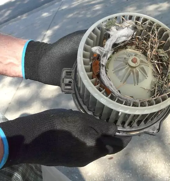 About Air Duct Rat Removal in Bothell West, WA