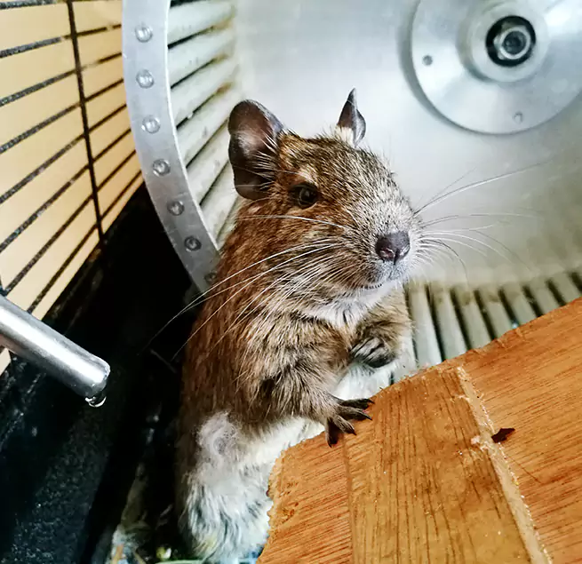 Why Homeowners & Businesses Trust Us Bothell West, WA?