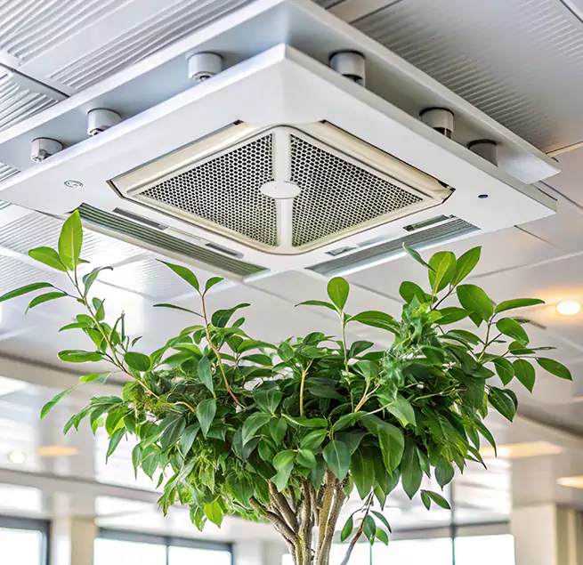 Why Homeowners & Businesses Trust Us in Bothell West, WA