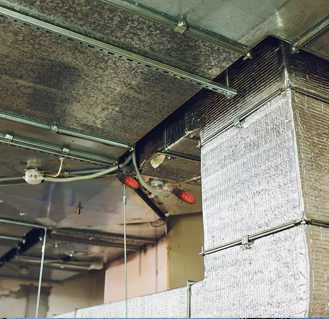 Why Homeowners & Businesses Trust Us Bothell West, WA?